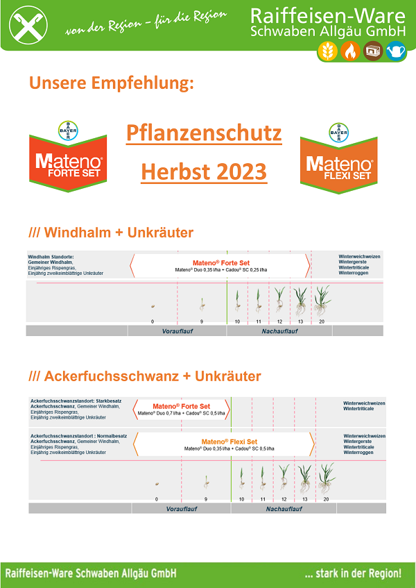 Homepage PSM Herbst 2023