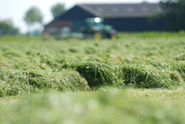 Silage